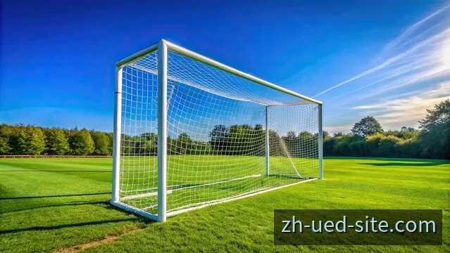 体育赛事资讯与数据体验场景